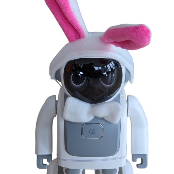 Robert – zbh. Verkleidung „Easter Edition“