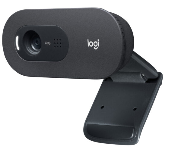 Logitech C505 HD Webcam 1280 x 720 Pixel USB Schwarz