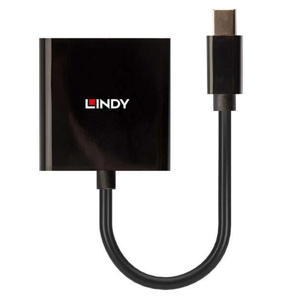 Lindy 41736 Kabeladapter Mini DisplayPort DVI-D Schwarz - Image 2