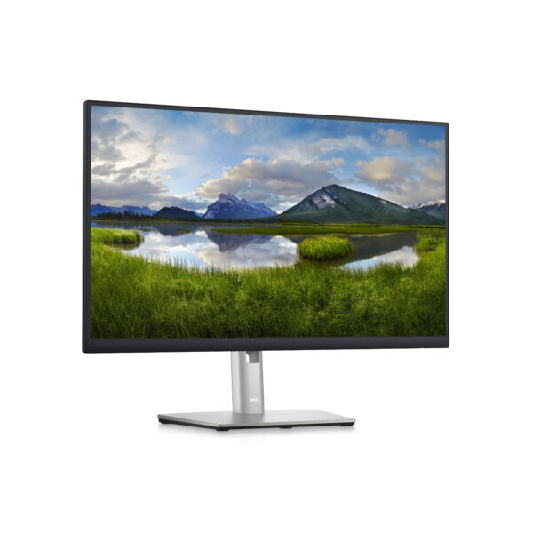 DELL P Series 60,45 cm (23,8")-Monitor – P2423D - Image 3