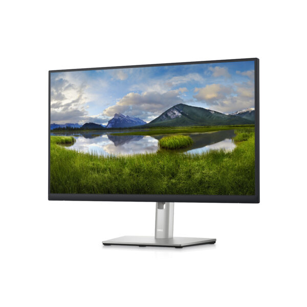 DELL P Series 60,45 cm (23,8")-Monitor – P2423D - Image 2