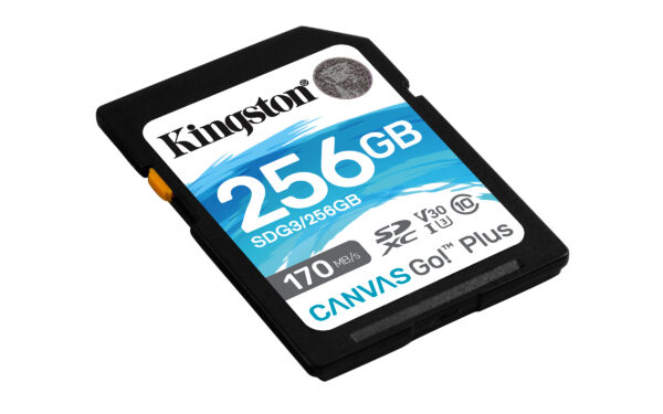 Kingston Technology 256GB SDXC Canvas Go Plus 170R C10 UHS-I U3 V30 - Image 2