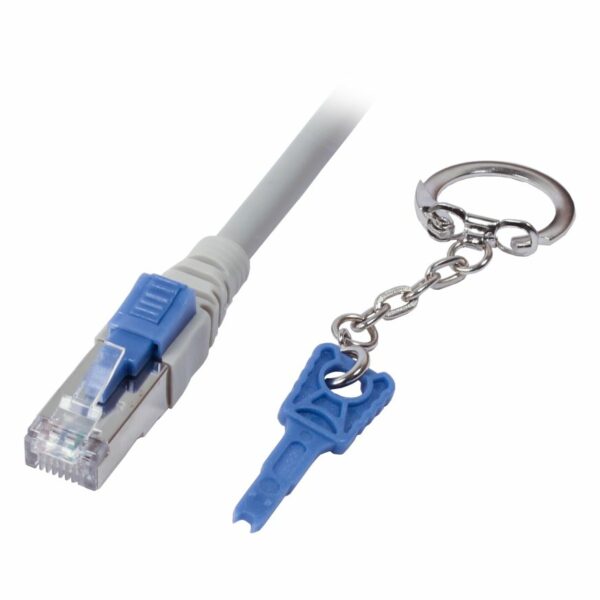 Patchkabel RJ45, CAT6A 500Mhz, 0.25m, grau, S-STP(S/FTP), mit Schloss, AWG26, Synergy 21