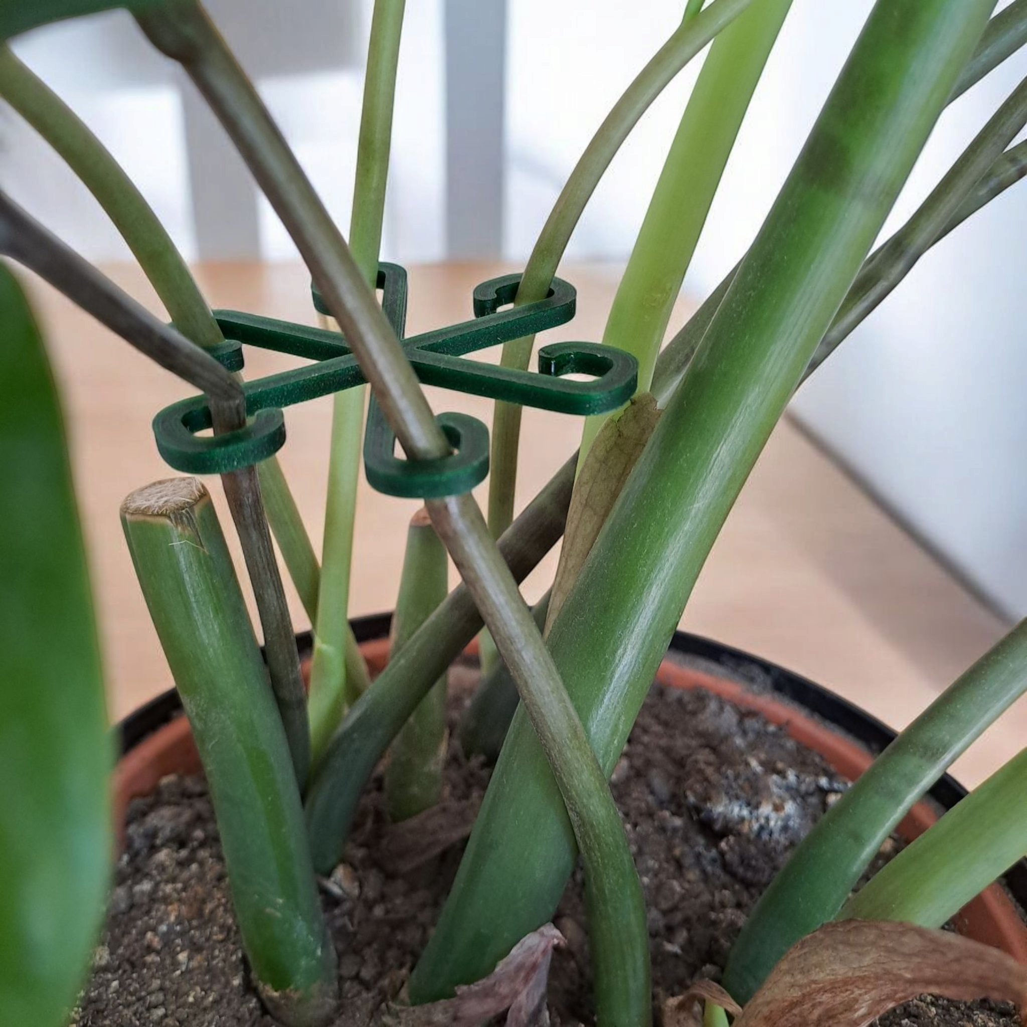 Tame the Jungle – Pflanzen-Stabilisator-Haken, 121 x 122 x 6 mm, 3D gedruckt – Bild 2